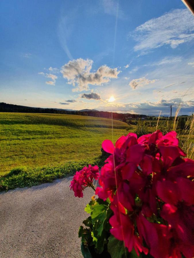 Apartma Sveti Duh Nova Vas  Exteriör bild