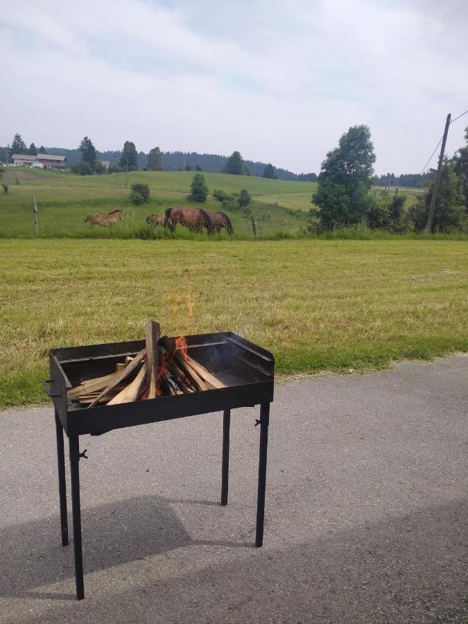 Apartma Sveti Duh Nova Vas  Exteriör bild