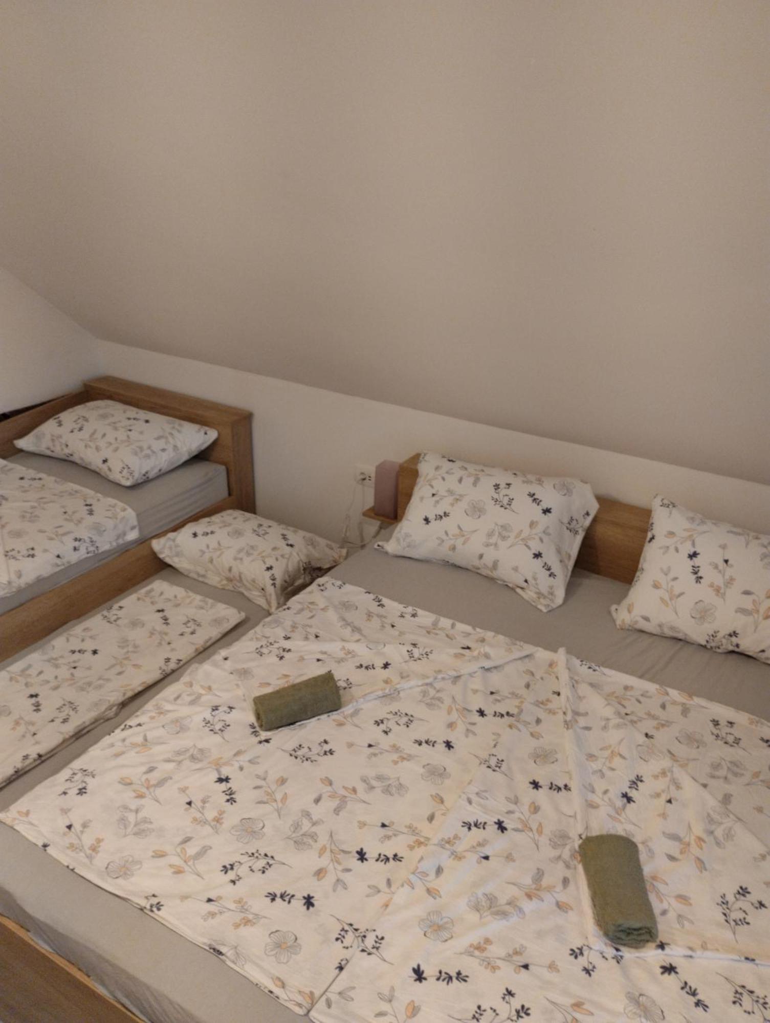 Apartma Sveti Duh Nova Vas  Exteriör bild
