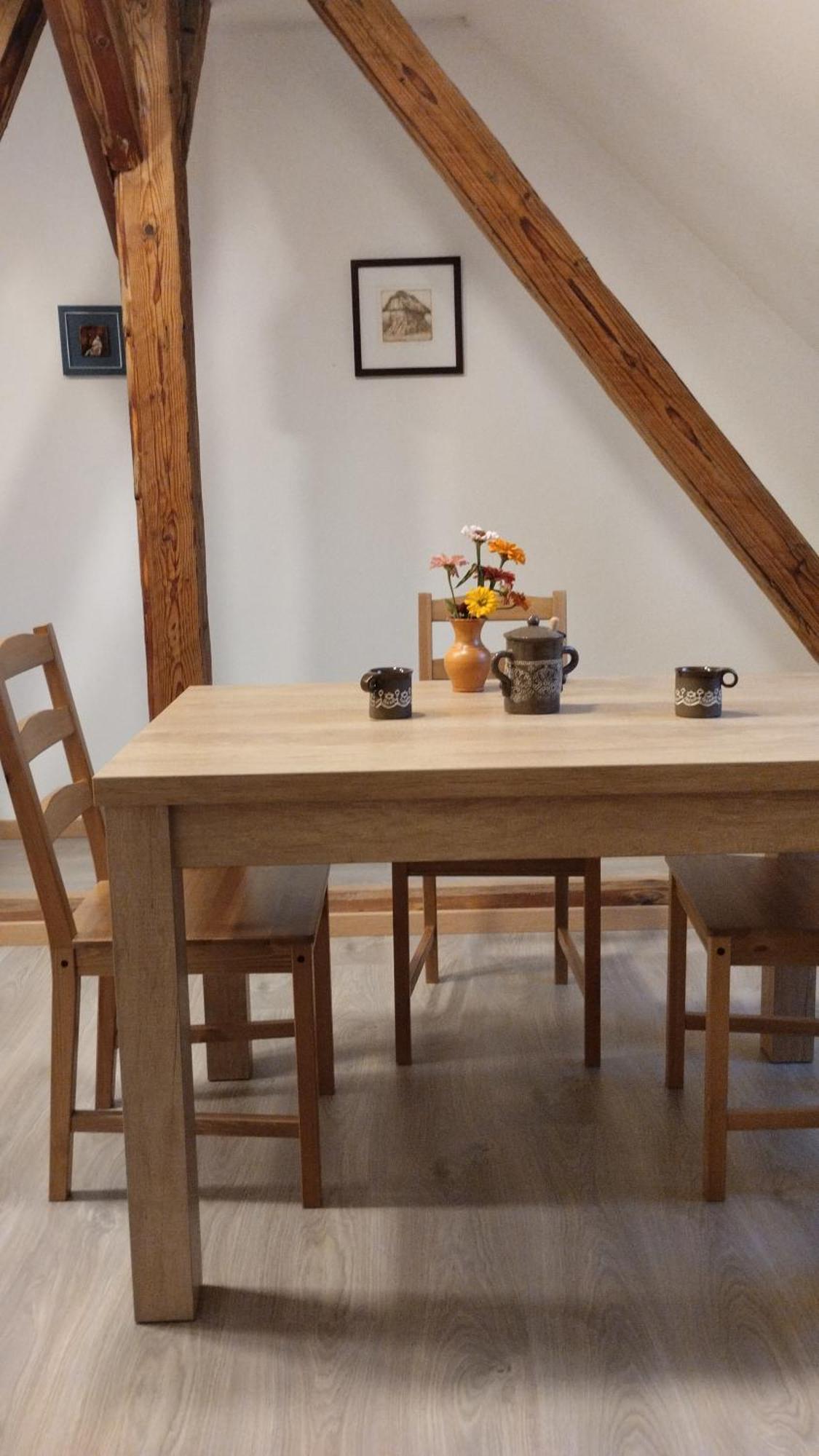 Apartma Sveti Duh Nova Vas  Exteriör bild