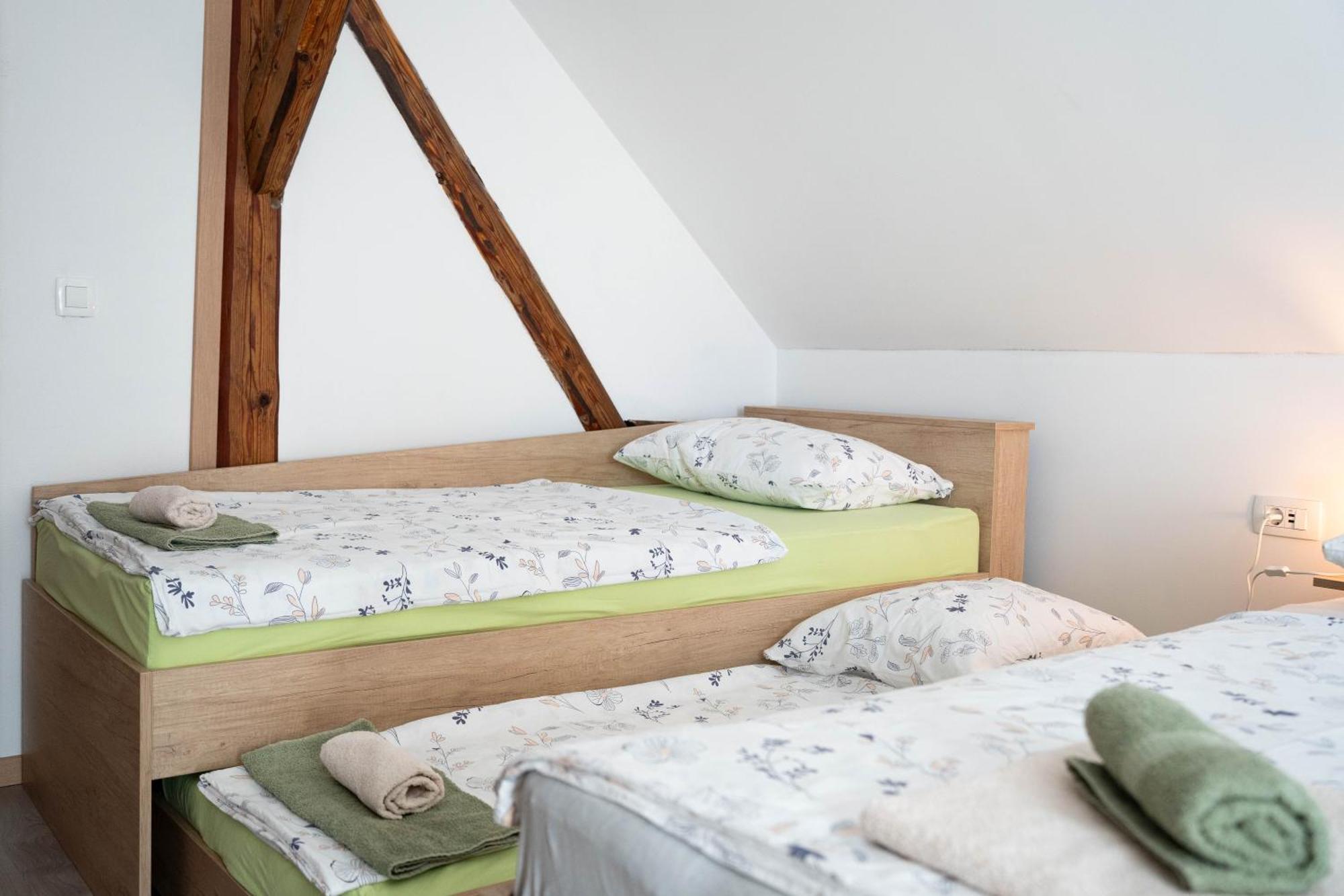 Apartma Sveti Duh Nova Vas  Rum bild