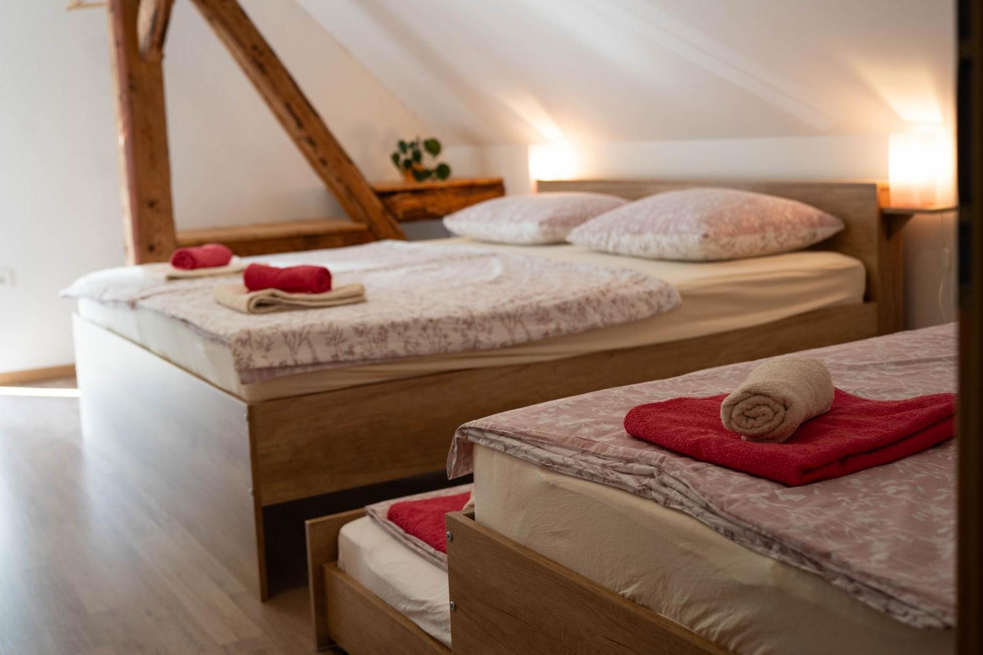 Apartma Sveti Duh Nova Vas  Rum bild