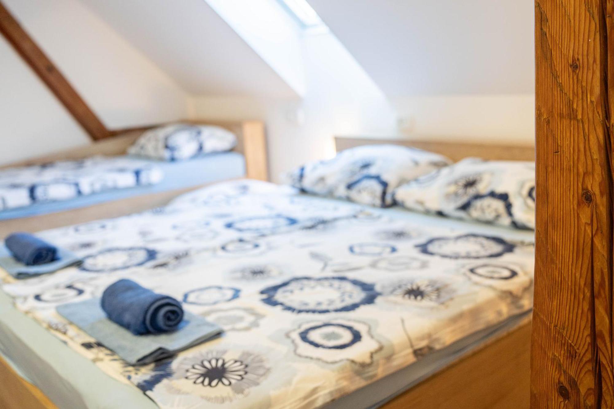 Apartma Sveti Duh Nova Vas  Rum bild