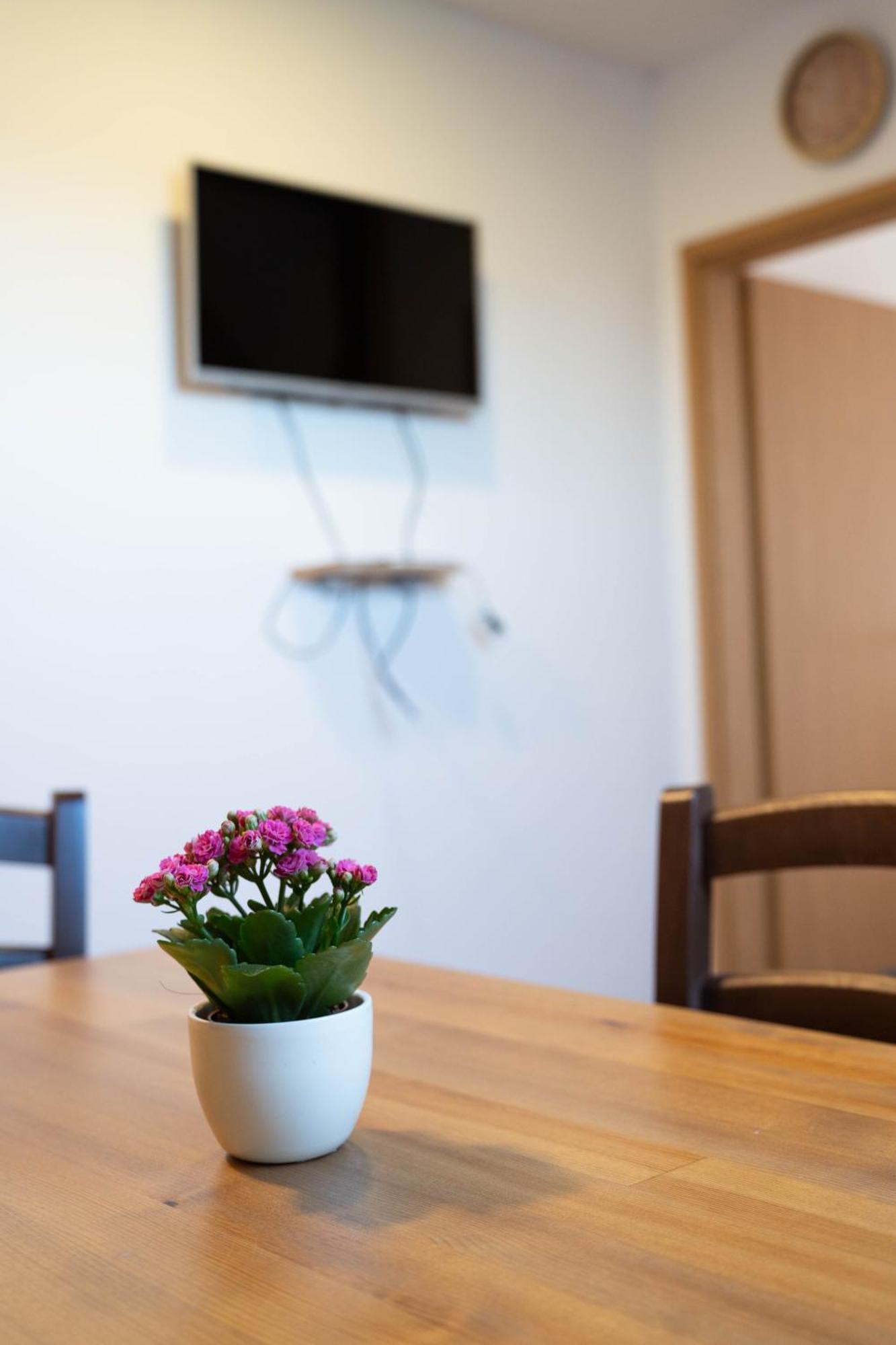 Apartma Sveti Duh Nova Vas  Rum bild